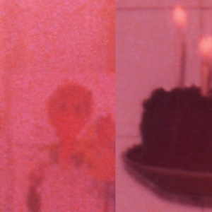 Kodak Instamatic Diptych #4