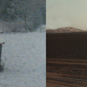 Kodak Instamatic Diptych #3